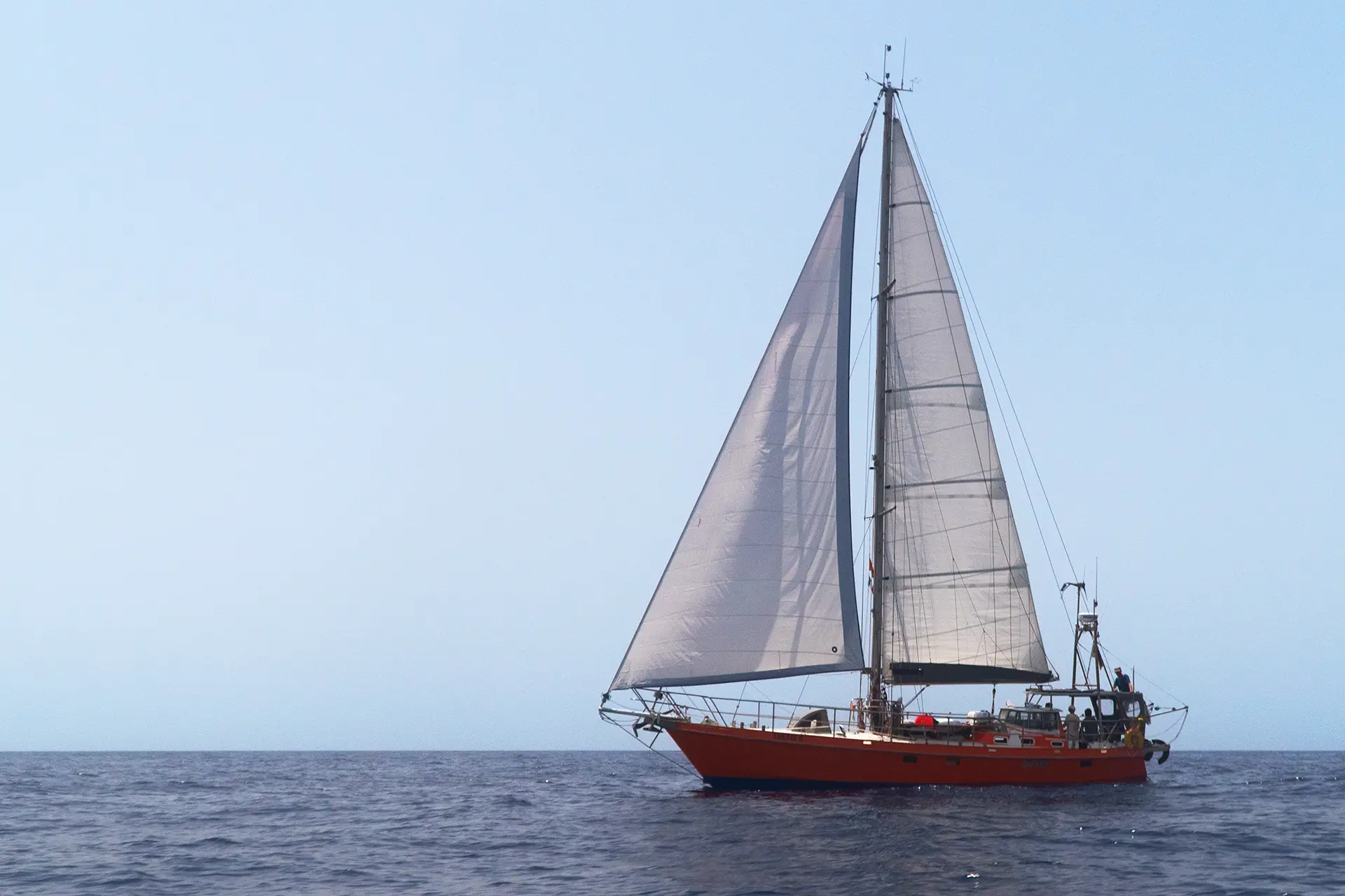 Die Thetis II mit rotem Rumpf unter vollen Segeln